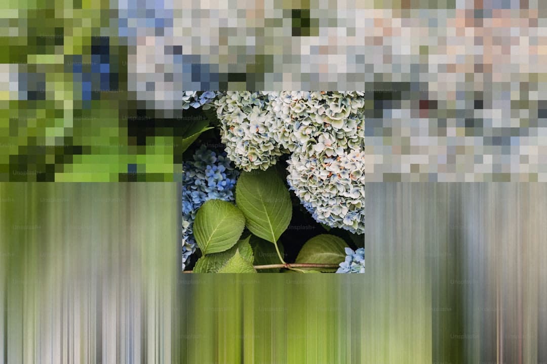 赵涛评委 华语电影国际魅力展现